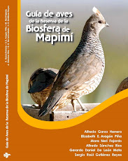 Guía de Aves de Mapimí