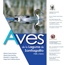 Aves de la Laguna de Santiaguillo: Valle y Sierra
