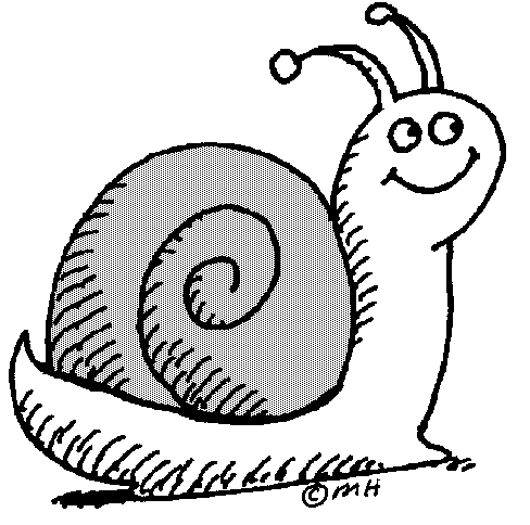 Snail Story