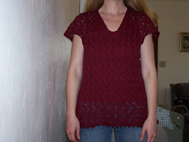 Travelling Vine Lace Pullover