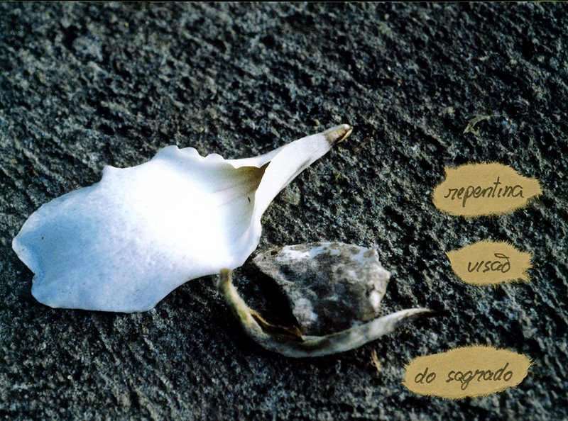 [Susana+-+No+ch&Atilde]