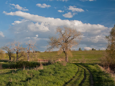 Standley Lake, Trail View # 2