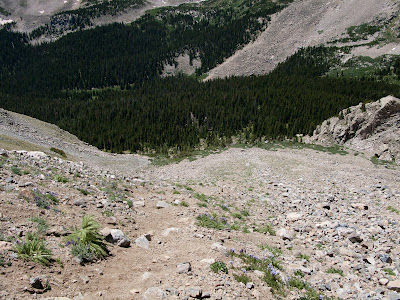 Mount Columbia, Looking Down Slope