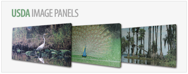 Decorative Acoustic Wall Panels beautiful decorative acoustical wall panels pictures - home Decorative Acoustic Wall Panels beautiful decorative acoustical wall panels pictures - home