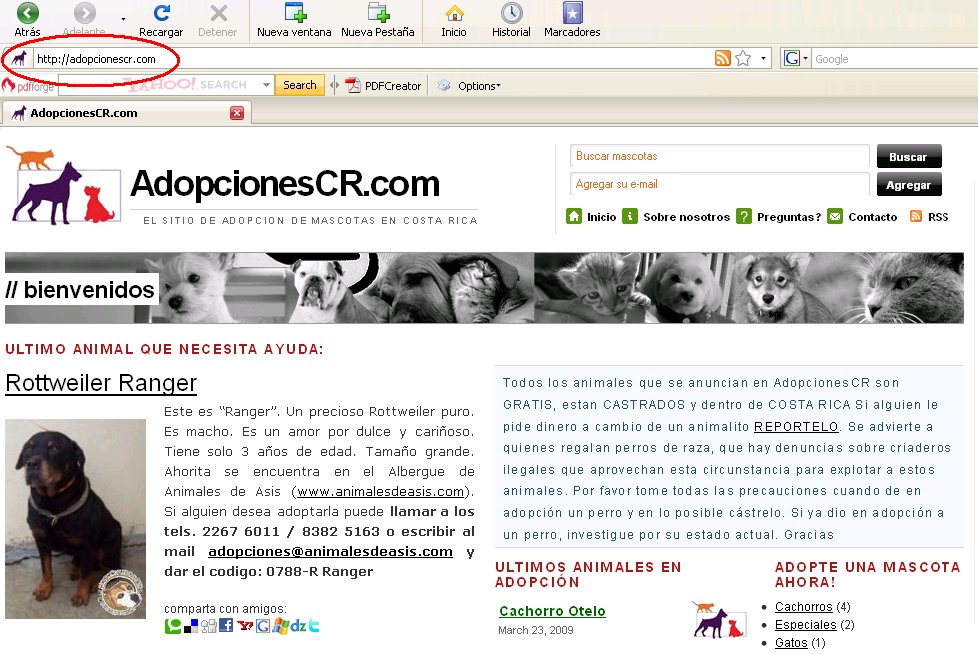 [pagina.bmp]