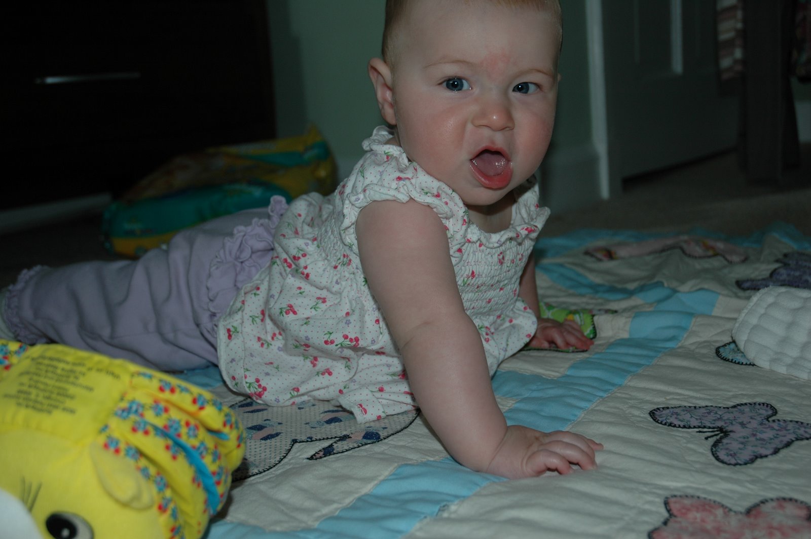 [DSC_2842.JPG]