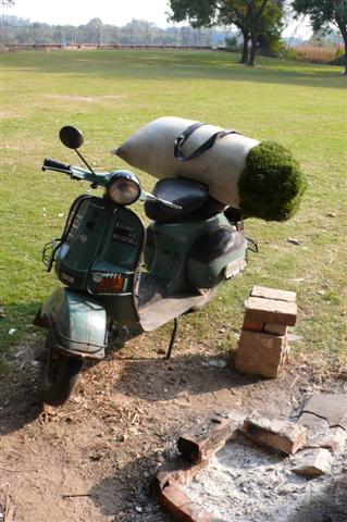 [P1000947+(Small).JPG]