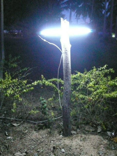 [P1030335.JPG]