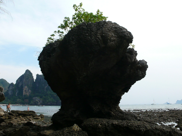 [P1030342.JPG]