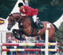 Landfriese II (Landadel/Manstein) 1f premium Oldenburg grand prix jumper stallion