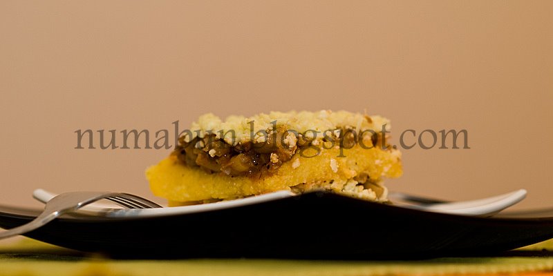 [mamaliga_ciuperci-21.jpg]