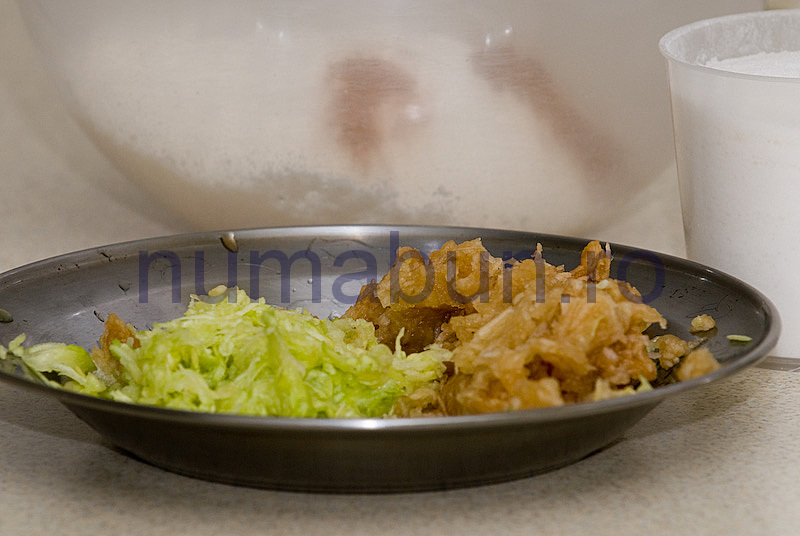 [chec_dovlecel-10.jpg]