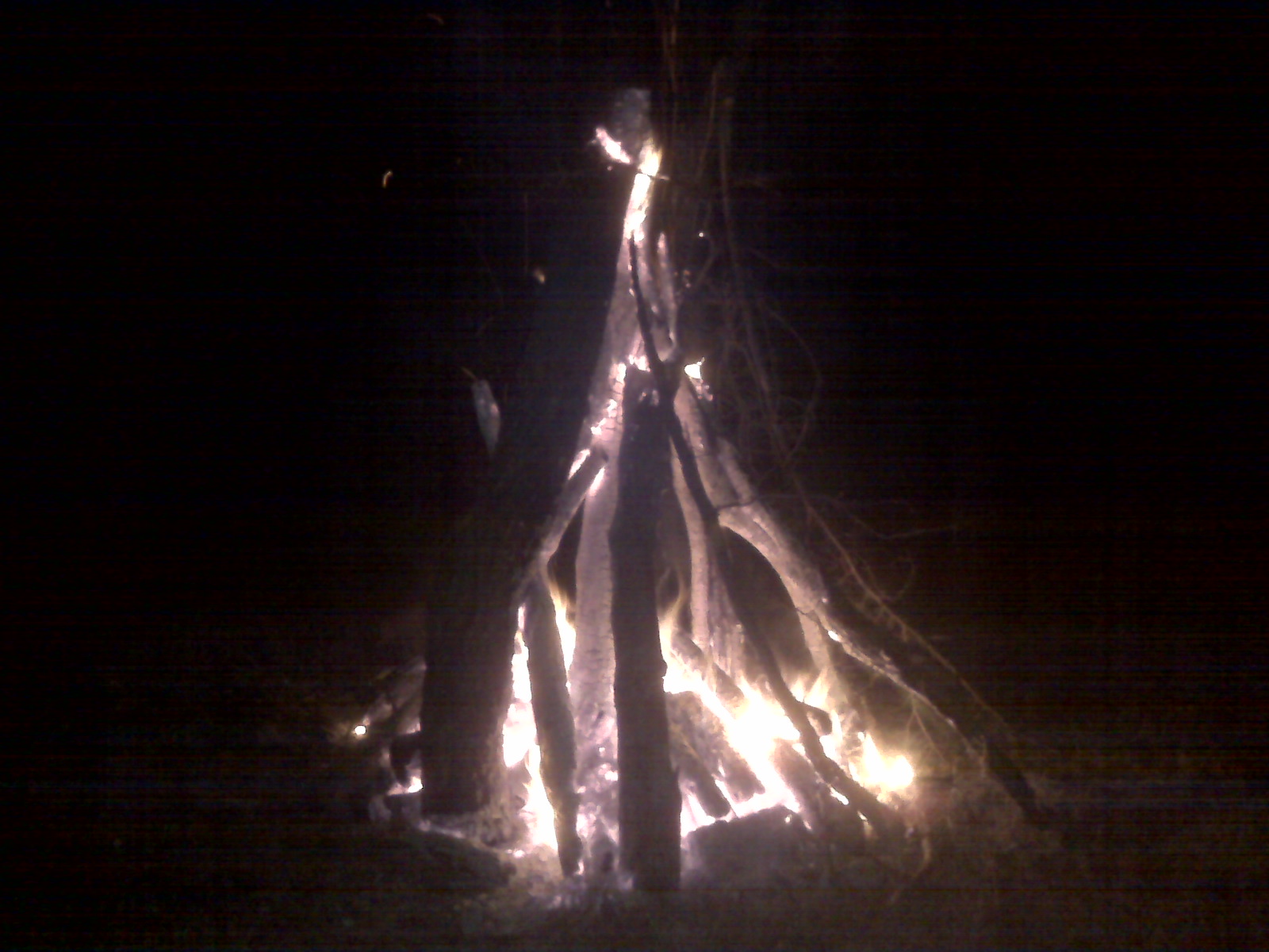 [=?utf-8?B?SU1HMDAxNjguanBn?=-736649]