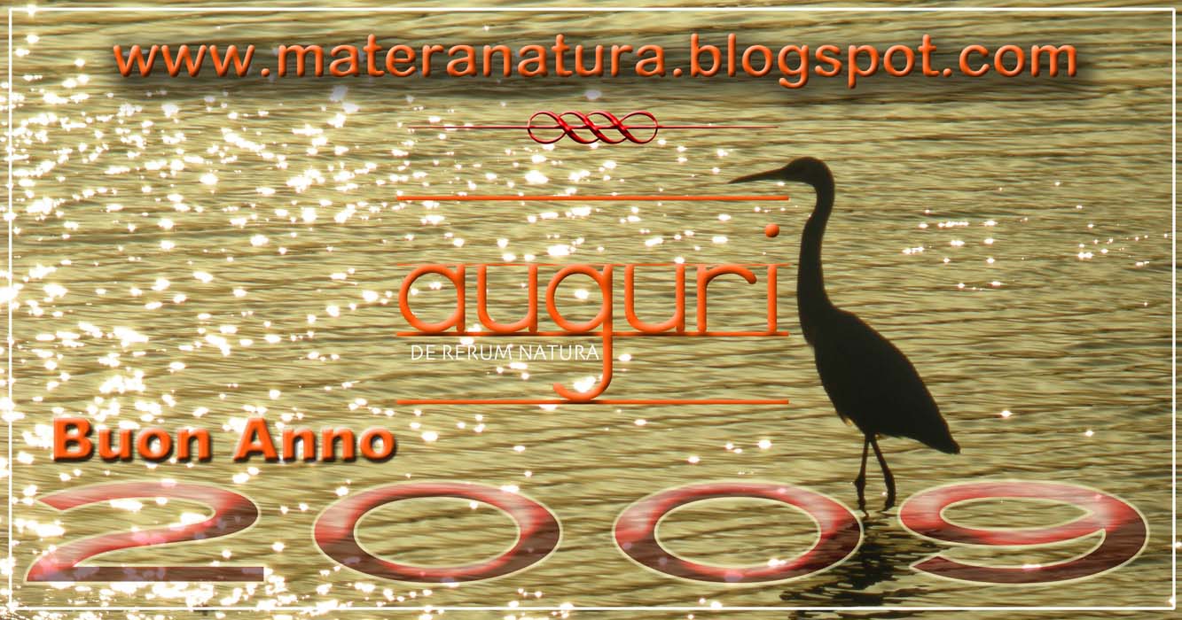 [auguri+materanatura.jpg]