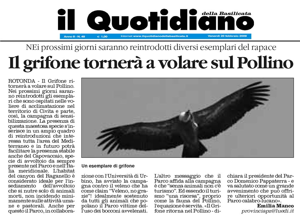[grifonepollino.jpg]