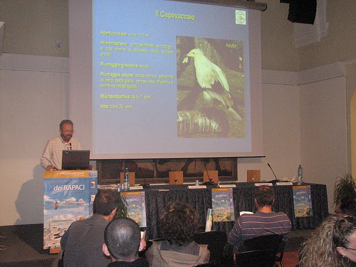 [Ceccolini_IMG_3211.jpg]