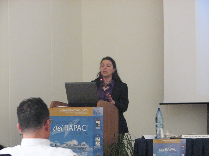 [cenerini_IMG_3214.jpg]