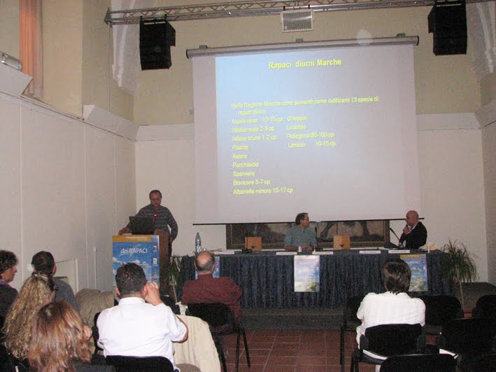 [Angelini_IMG_3222.jpg]