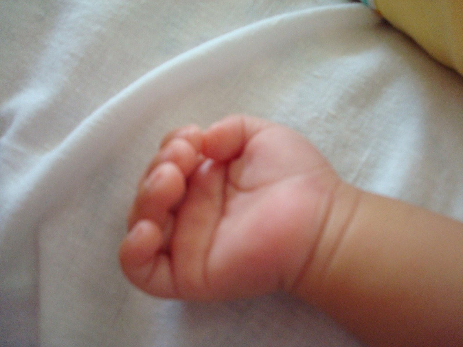 [DSC03116.JPG]