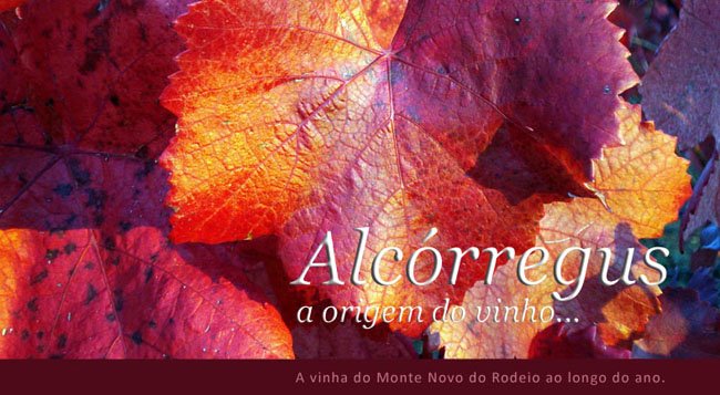 Alcórregus