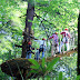New Zip Line Tours Arrive in WNC