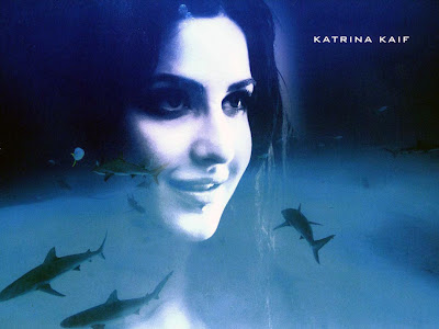 Bollywood Latest Movie 'Blue' Wallpapers, Stills: Katrina Kaif, Akshay Kumar Bollywood Latest Movie 'Blue' Wallpapers, Stills: Katrina Kaif, Akshay Kumar