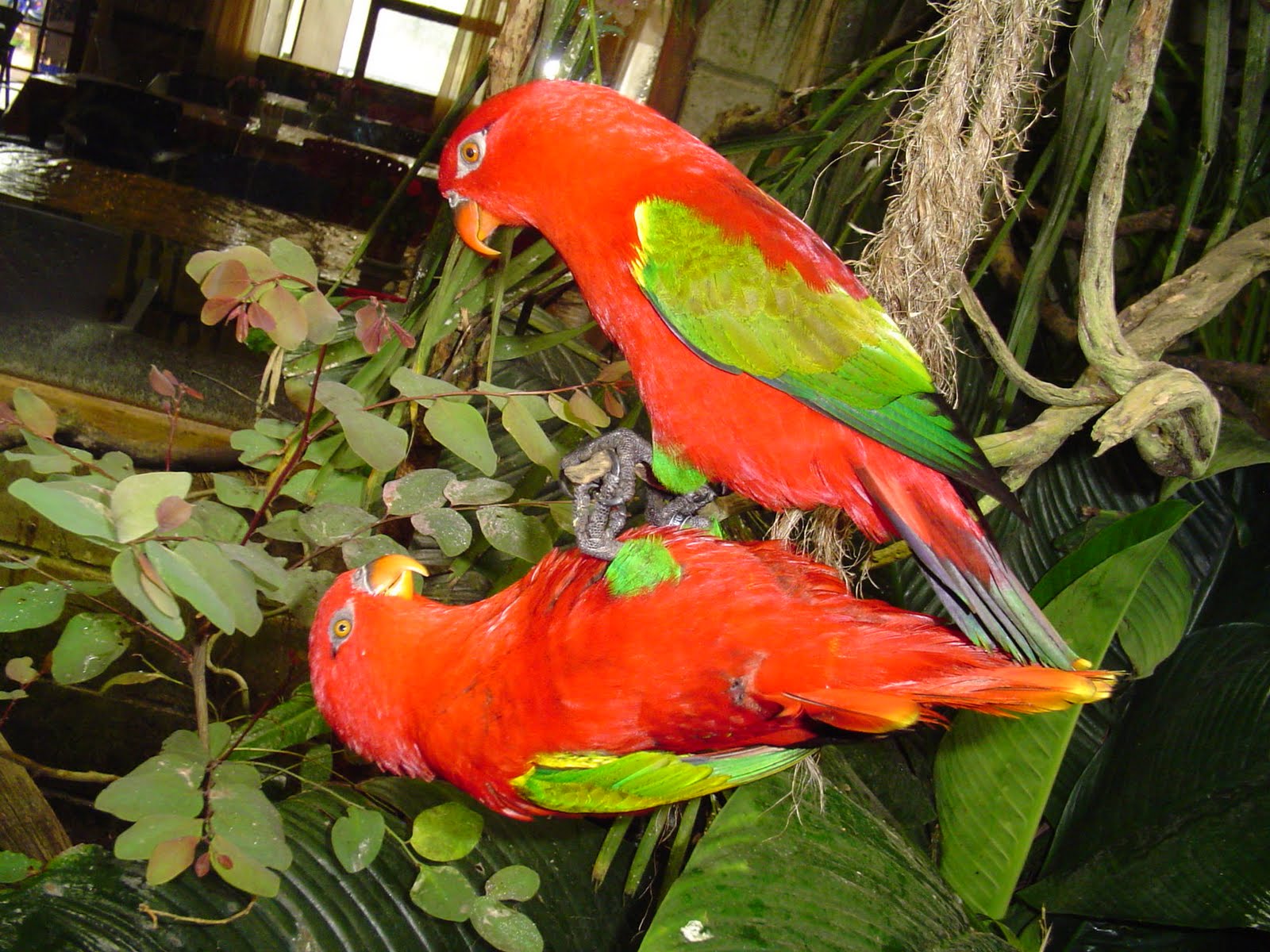 [DSC05629.JPG]