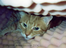 Sampson in Cocoon