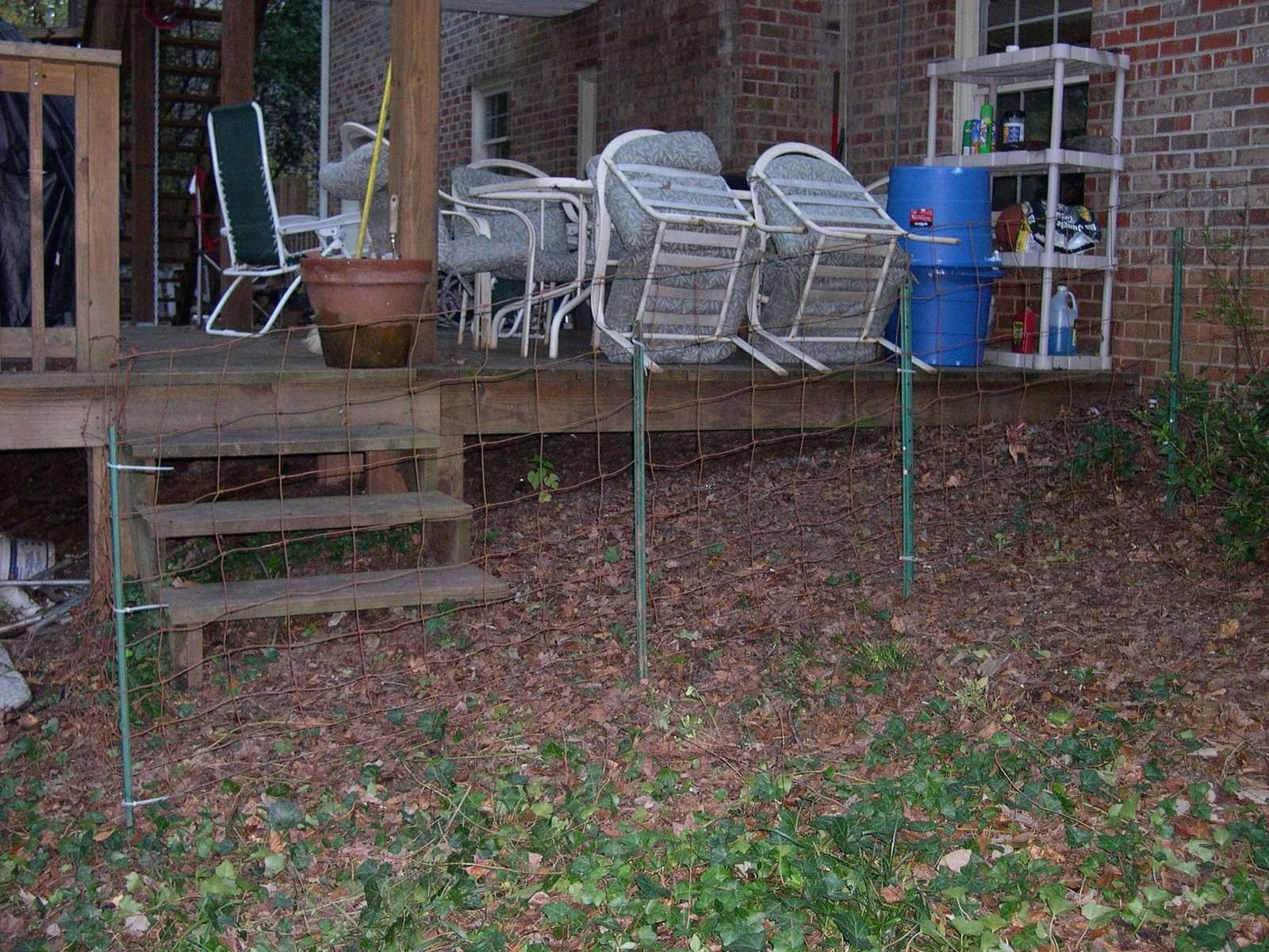 [DSCN0009.JPG]