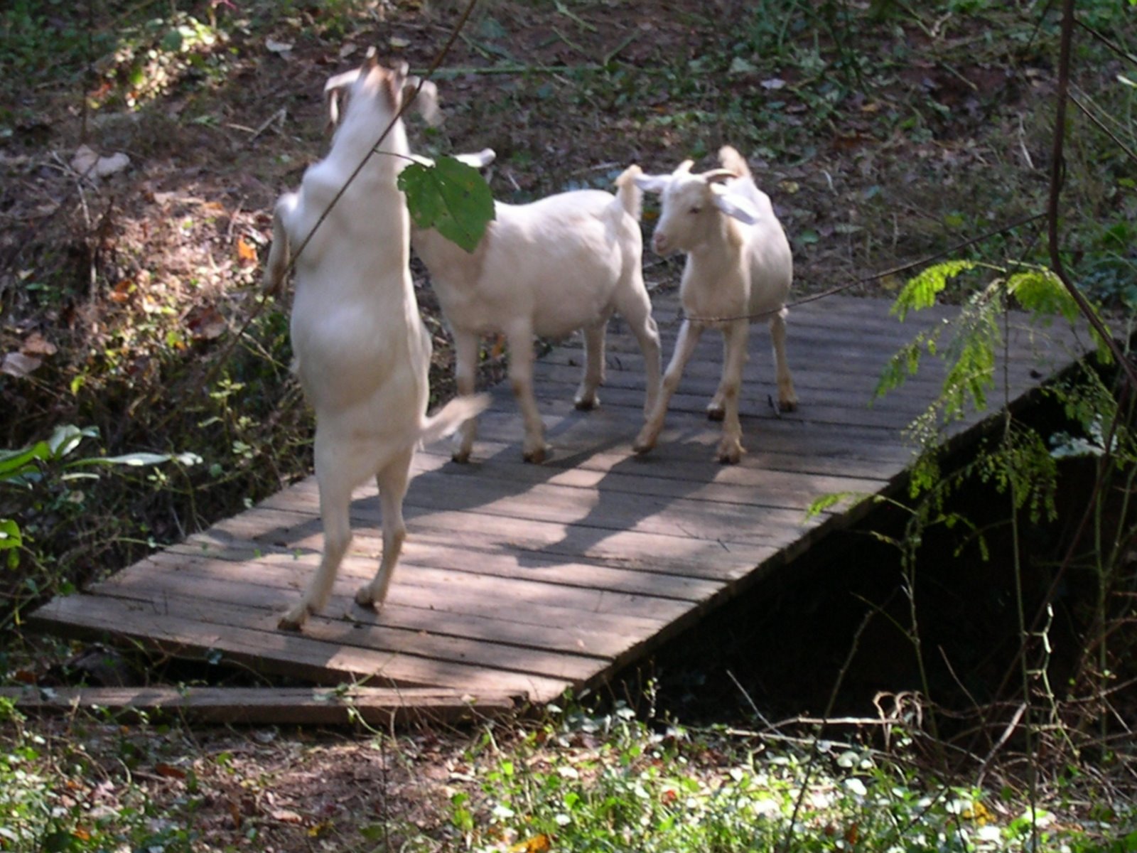 [DSCN0025.JPG]