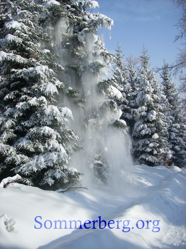[snowscene.JPG]