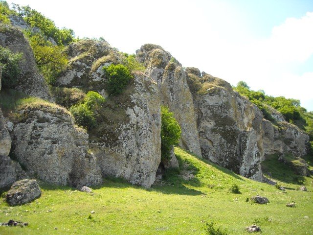 [DSCN0533-B.jpg]