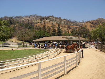 Pony rides at Griffith Park