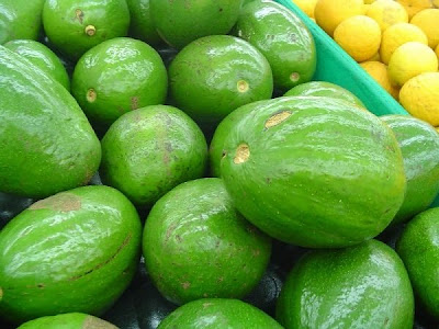 California Avocado Festival
