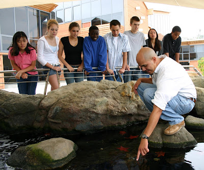 Ocean Institute Tide Pool