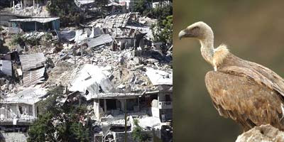 El terremoto de Haití y los buitres de las catástrofes