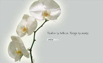 ver web Belleza & Bienestar Conde