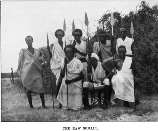 Somali Animal
