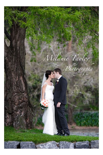 Stephen Taylor Photography