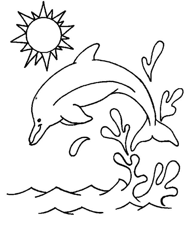 golfinhos-8.jpg
