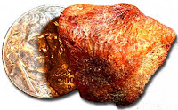 Carnelian agate shown with a quarter for scale.