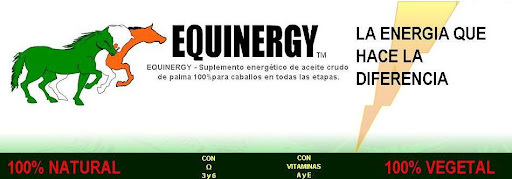 Equinergy