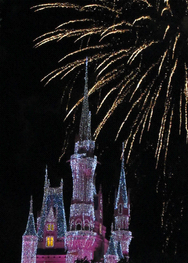 magic kingdom castle at night. Disney Day 2 - Magic Kingdom