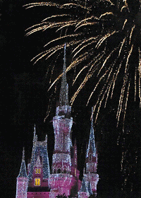 magic kingdom castle at night. Disney Day 2 - Magic Kingdom