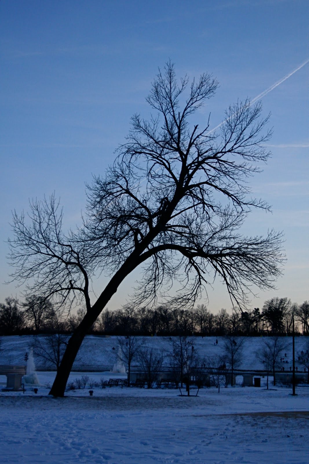 [IMG_6404.JPG]