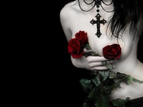 Uma rosa com espinhos sela o nosso amor,muitos enganos vividos perto de ti.