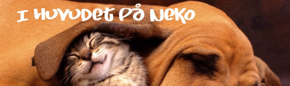 I huvudet på Neko