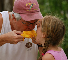 Mango munchers