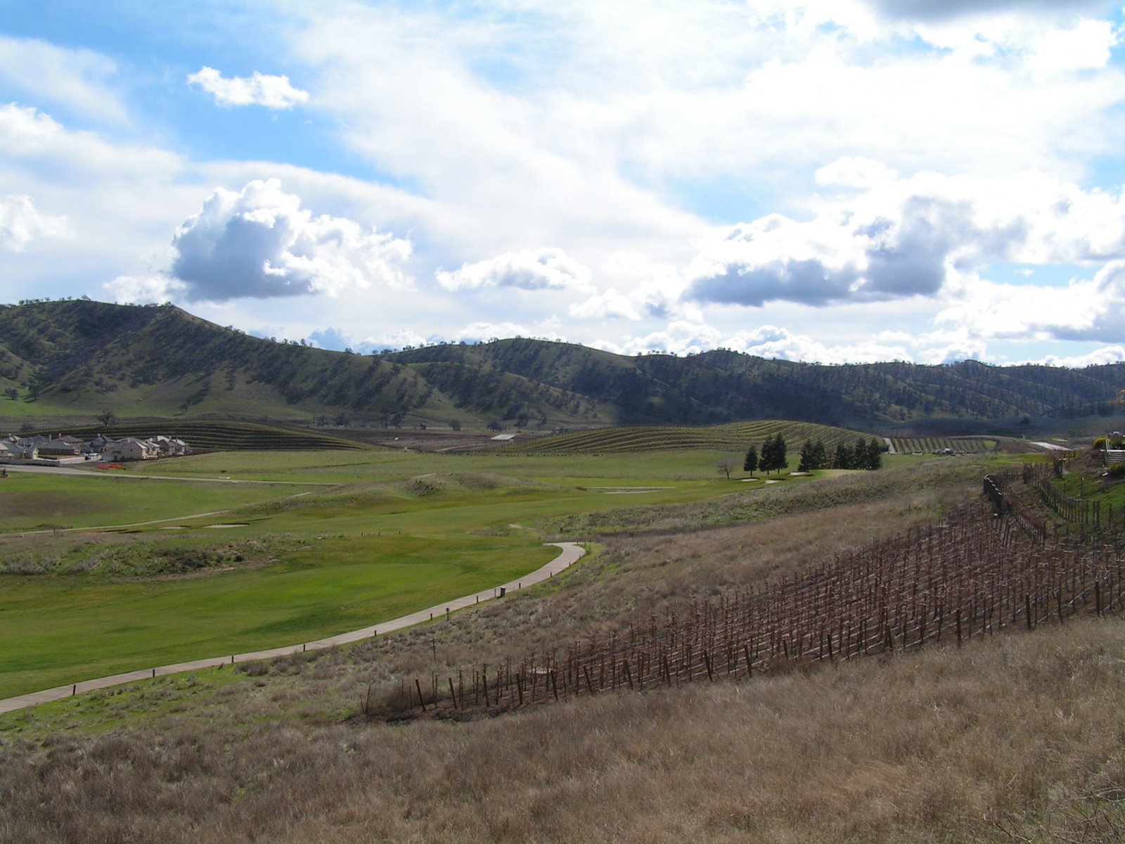 [PICT0062.JPG]