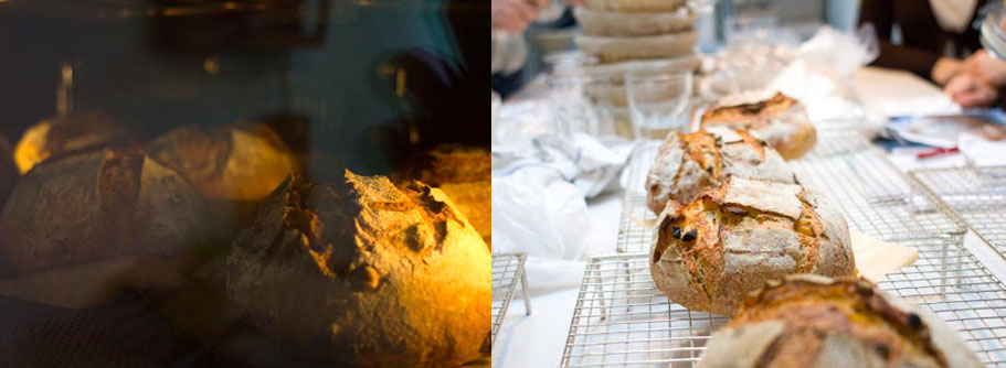 [pa+d'anous+i+orellanes.jpg]